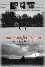 Watch A Perfect Family Moviesjoy