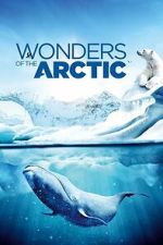 Watch Wonders of the Arctic Moviesjoy