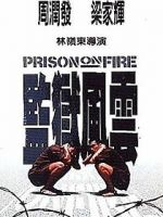 Watch Prison on Fire Moviesjoy