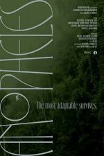 Watch Anopheles Moviesjoy