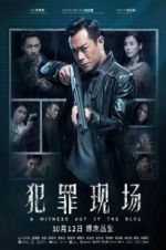 Watch A Witness out of the Blue Moviesjoy