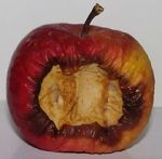 Watch Bad Apples (Short 2006) Moviesjoy