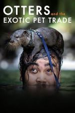 Watch Otters and the Exotic Pet Trade Moviesjoy
