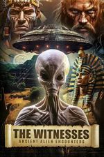 Watch The Witnesses: Ancient Alien Encounters Moviesjoy