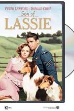 Watch Son of Lassie Moviesjoy