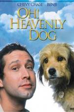 Watch Oh Heavenly Dog Moviesjoy