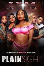 Watch Plain Sight Moviesjoy