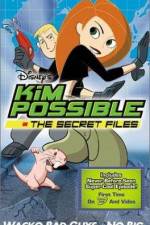 Watch "Kim Possible" Attack of the Killer Bebes Moviesjoy