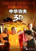 Watch Secrets of Shaolin with Jason Scott Lee Moviesjoy