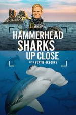 Watch Hammerhead Sharks Up Close with Bertie Gregory Moviesjoy