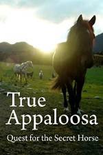 Watch True Appaloosa Moviesjoy
