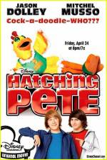 Watch Hatching Pete Moviesjoy