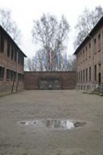 Watch Made in Auschwitz: The Untold Story of Block 10 Moviesjoy