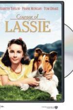 Watch Courage of Lassie Moviesjoy