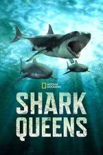Watch Shark Queens Moviesjoy