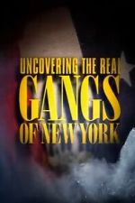 Watch Uncovering the Real Gangs of New York Moviesjoy