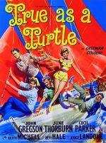 Watch True as a Turtle Moviesjoy