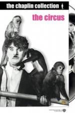 Watch The Circus Moviesjoy