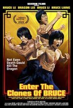 Watch Enter the Clones of Bruce Moviesjoy