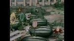 Watch Flowers for Madame (Short 1935) Moviesjoy