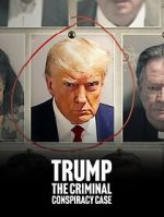 Watch Trump: The Criminal Conspiracy Case Moviesjoy