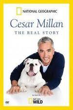 Watch Cesar Millan: The Real Story Moviesjoy