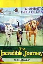 Watch The Incredible Journey Moviesjoy