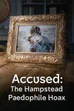 Watch Accused: The Hampstead Paedophile Hoax Moviesjoy