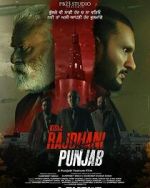 Watch Rajdhani Punjab Moviesjoy