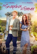 Watch A Snapshot of Forever Moviesjoy