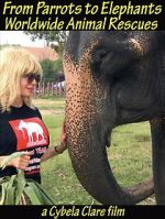 Watch From Parrots to Elephants: Worldwide Animal Rescues Moviesjoy