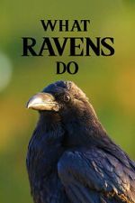 Watch What Ravens Do Moviesjoy