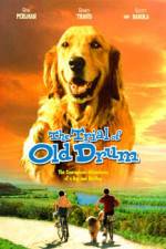 Watch The Trial of Old Drum Moviesjoy