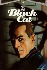 Watch The Black Cat Moviesjoy
