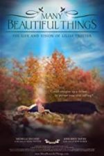 Watch Many Beautiful Things Moviesjoy