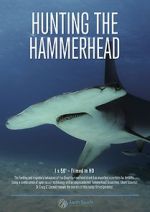 Watch Hunting the Hammerhead Moviesjoy