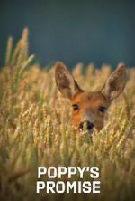 Watch Poppy\'s Promise: Secret Life in a Cornfield Moviesjoy