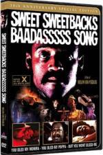 Watch Sweet Sweetback's Baadasssss Song Moviesjoy