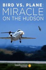 Watch Bird vs. Plane: Miracle on the Hudson Moviesjoy