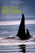 Watch A Fall from Freedom Moviesjoy