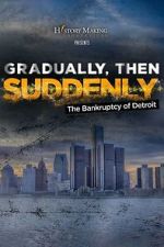 Watch Gradually, Then Suddenly: The Bankruptcy of Detroit Moviesjoy