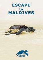 Watch Escape to Maldives Moviesjoy