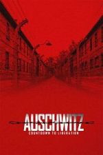Watch Auschwitz: Countdown to Liberation Moviesjoy