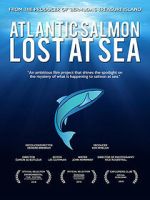 Watch Atlantic Salmon: Lost at Sea Moviesjoy