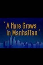 Watch A Hare Grows in Manhattan Moviesjoy