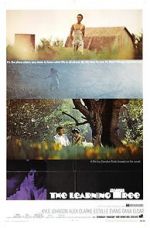 Watch The Learning Tree Moviesjoy
