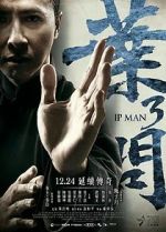 Watch Ip Man 3 Moviesjoy
