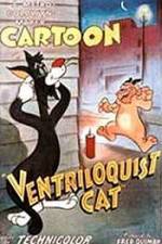 Watch Ventriloquist Cat Moviesjoy