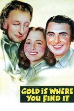 Watch Gold Is Where You Find It Moviesjoy