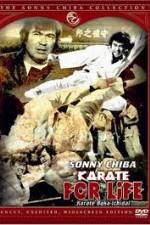 Watch Karate for Life Moviesjoy
